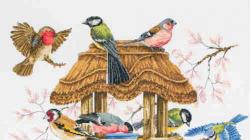 Названия, описания и особенности зимующих птиц